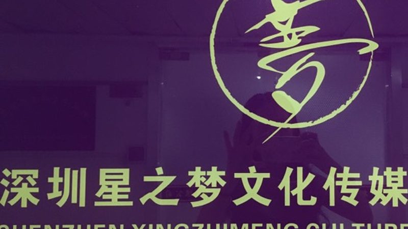 VI设计流程步骤解析：打造品牌视觉识别的完美蓝图**